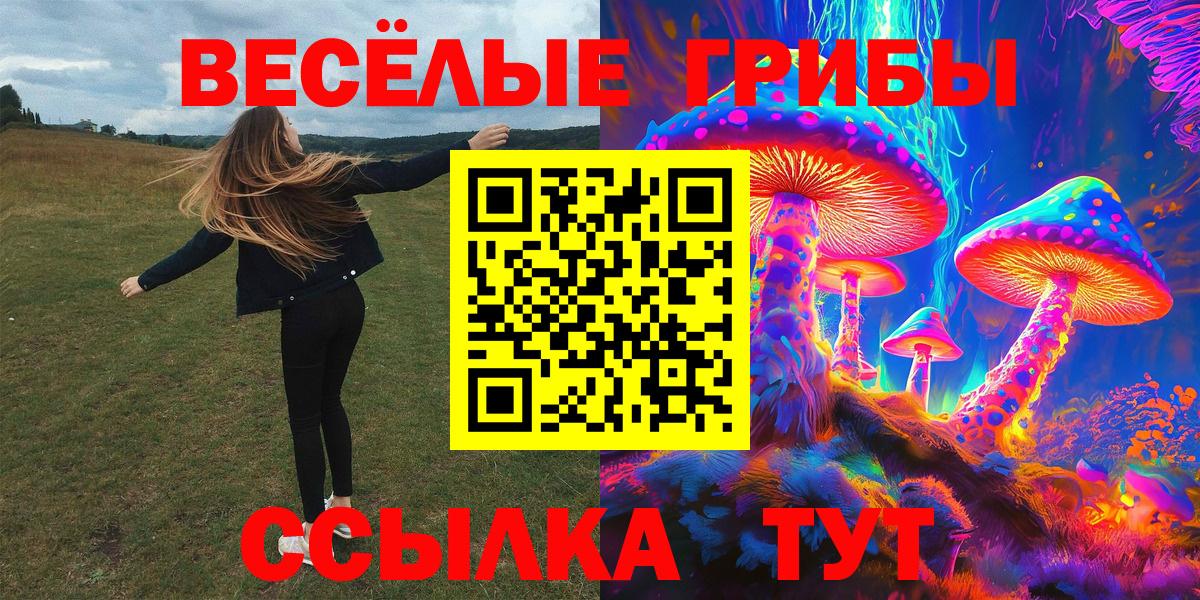 Псилоцибиновые грибы мицелий Горно-Алтайск